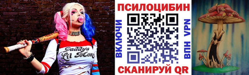 наркотики  Шагонар  Псилоцибиновые грибы Psilocybe 